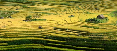 Cáp treo Fansipan: Điểm dừng chân hấp dẫn của du khách trẻ - ảnh 3