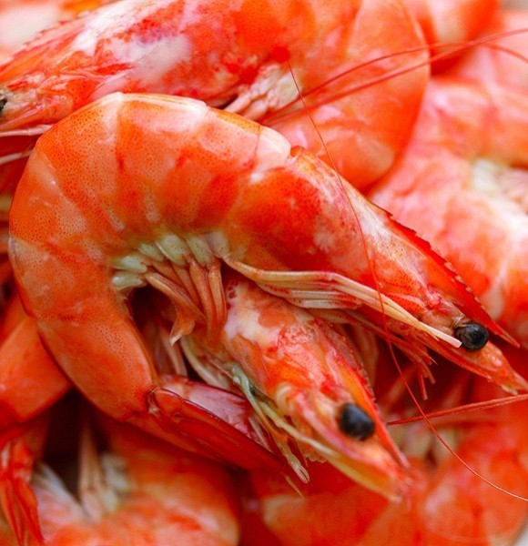 Mối liên quan giữa bệnh vẩy nến và cân nặng - ảnh 1