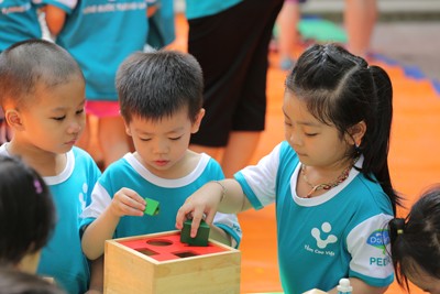 ‘Tầm cao Việt – Vững bước tương lai’ - ảnh 5