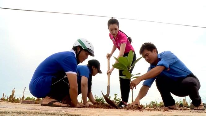 Chiến dịch vì biển xanh không rác của thí sinh HHVN 2016 - ảnh 6