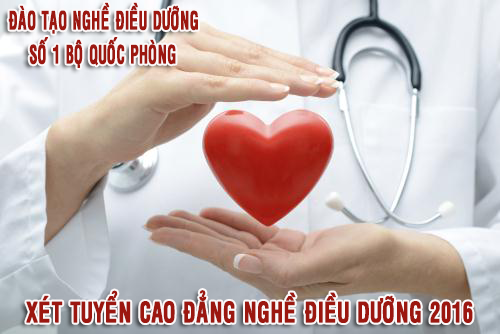 Cao đẳng Điều dưỡng năm 2016: Bệnh viện ưu tiên tuyển dụng? - ảnh 2