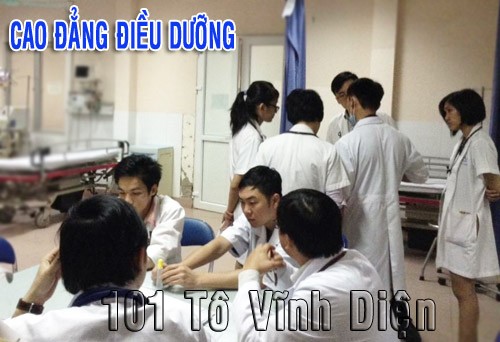 Chuẩn hoá Cao đẳng Điều dưỡng bệnh viện để hội nhập quốc tế - ảnh 3