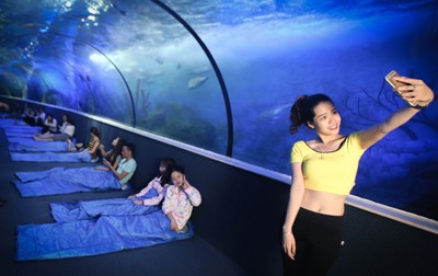 Trào lưu “ngủ dưới đáy biển” đã có mặt tại Việt Nam - ảnh 5