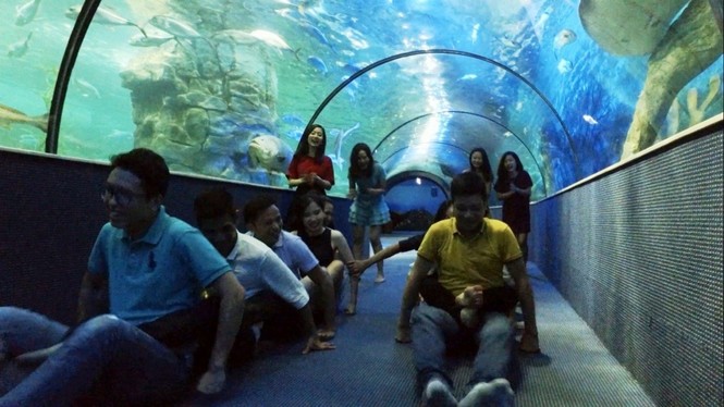 Trào lưu “ngủ dưới đáy biển” đã có mặt tại Việt Nam - ảnh 7