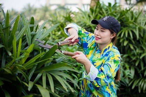 Chuyện “nghề nông” trong phố. - ảnh 1