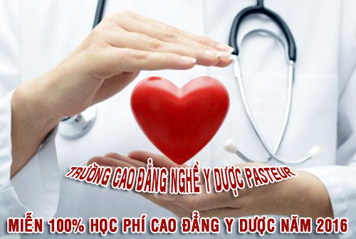 Trường Cao đẳng Y Dược Hà Nội và TP HCM miễn 100% học phí năm 2016 - ảnh 2