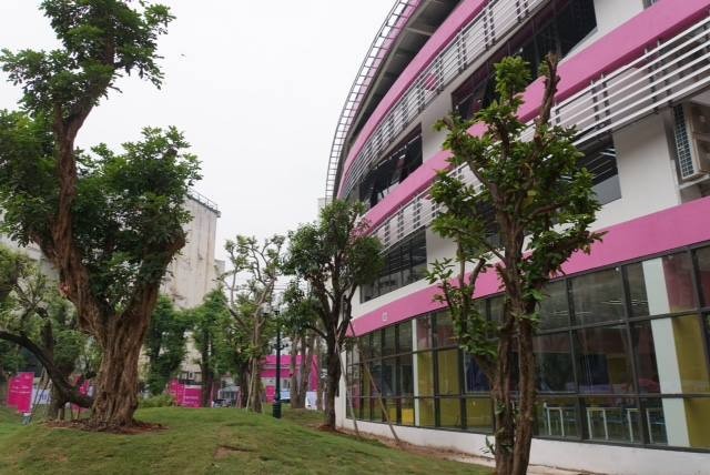 Tập đoàn TH khai trương mô hình giáo dục đặc biệt, đẳng cấp quốc tế - ảnh 3