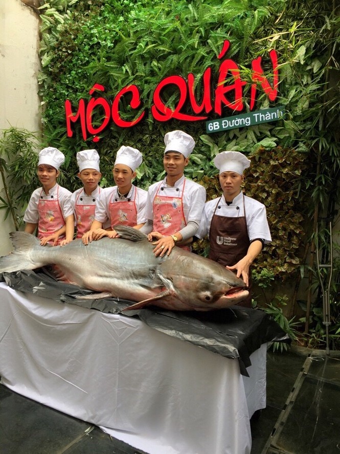 Gây quỹ từ thiện từ “thủy quái” sông Mê Kong - ảnh 1