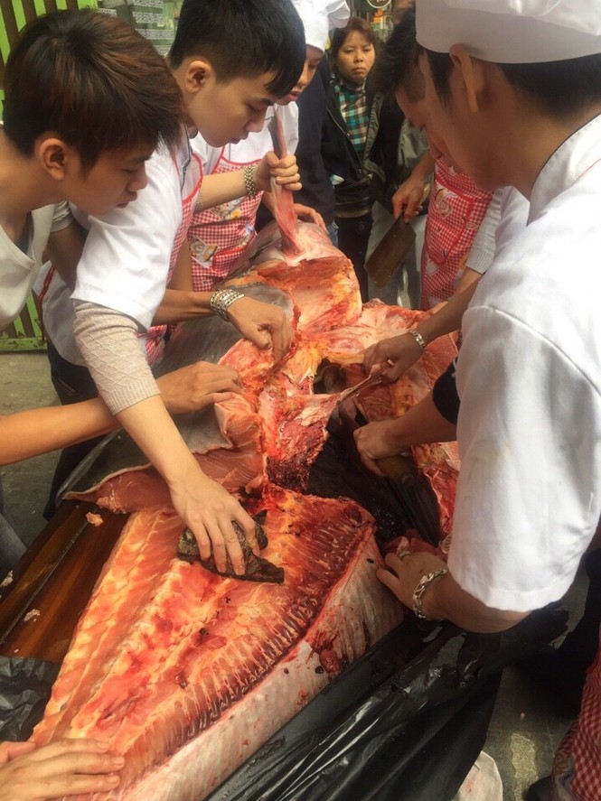 Gây quỹ từ thiện từ “thủy quái” sông Mê Kong - ảnh 2