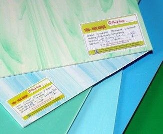 Hàng nhái hoành hành, người tiêu dùng thiệt thòi nhất - ảnh 2