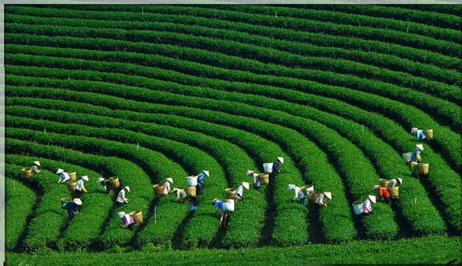 Cánh cửa nào giúp Tây Bắc thoát nghèo? - ảnh 1