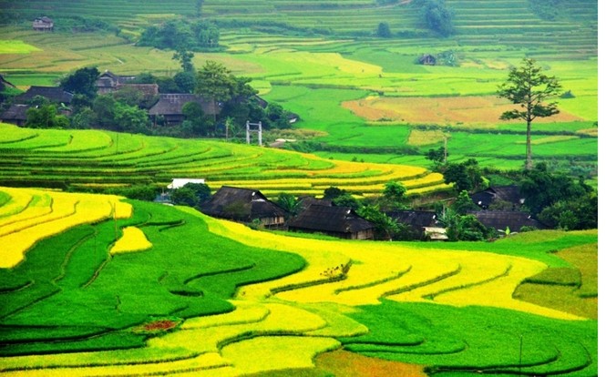 Cánh cửa nào giúp Tây Bắc thoát nghèo? - ảnh 4