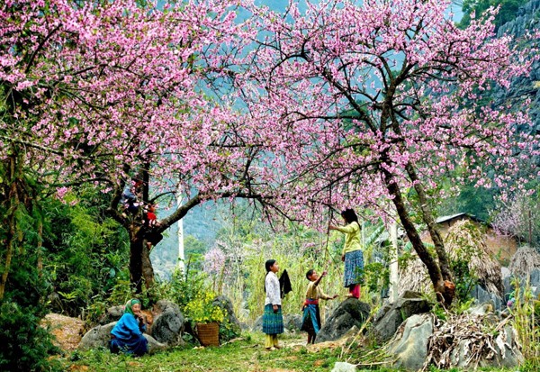 5 hành trình du lịch lý tưởng cho ngày giao mùa Đông – Xuân - ảnh 1