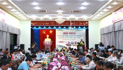 Phát triển nông nghiệp Tây Nguyên: Góc nhìn từ các nông dân tỷ phú - ảnh 1