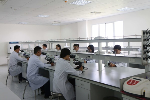Những thành tựu vượt bậc tại ngôi trường bảy năm tuổi - ảnh 2