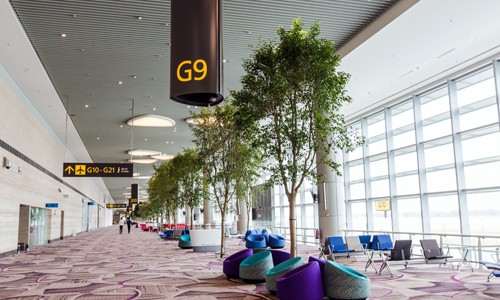 Khách của Vietnam Airlines chính thức được sử dụng nhà ga hiện đại nhất Singapore - ảnh 2