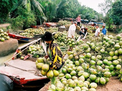 Agribank góp phần phát triển nông nghiệp - du lịch Đồng bằng sông Cửu Long - ảnh 2
