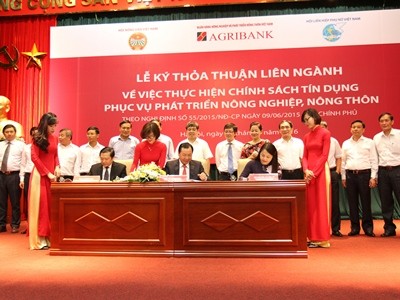 Agribank góp phần phát triển nông nghiệp - du lịch Đồng bằng sông Cửu Long - ảnh 4