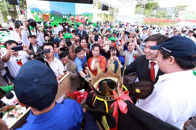 Vương miện “Hoa hậu bò sữa” Mộc Châu 2017 đã có chủ - ảnh 7