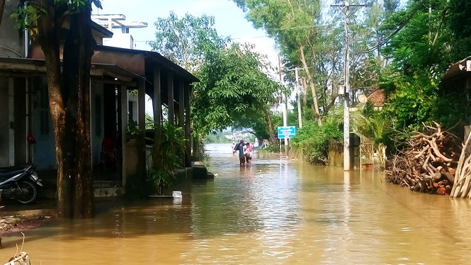 Bão số 14 gây lũ lớn vùng hạ lưu sông Côn và sông Hà Thanh - ảnh 1