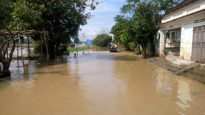 Bão số 14 gây lũ lớn vùng hạ lưu sông Côn và sông Hà Thanh - ảnh 3