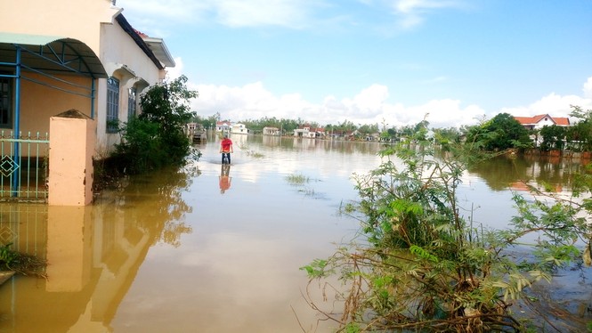 Bão số 14 gây lũ lớn vùng hạ lưu sông Côn và sông Hà Thanh - ảnh 4