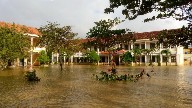 Bão số 14 gây lũ lớn vùng hạ lưu sông Côn và sông Hà Thanh - ảnh 6