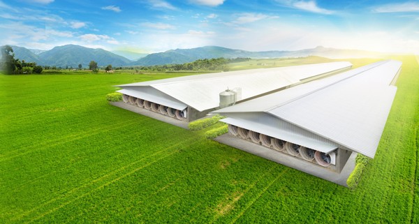 Lysaght Agrished đánh dấu 2 năm tham gia thị trường Việt Nam - ảnh 1