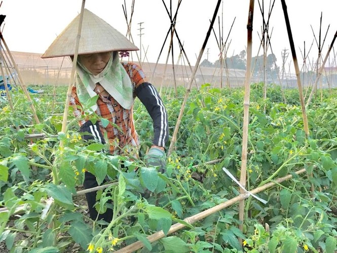 Vĩnh Phúc trả lời cử tri về những vấn đề bức xúc dân sinh - ảnh 1
