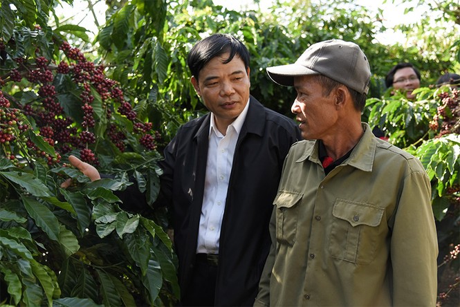 Giữ vững vị thế cà phê Việt, khó hay dễ? - ảnh 1