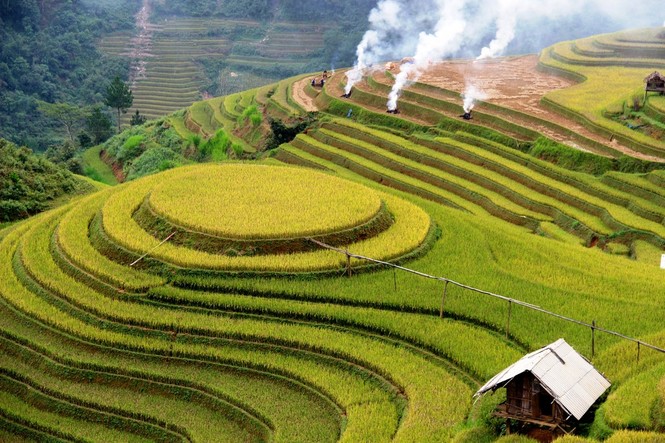 Điểm đến hấp dẫn và tin cậy - ảnh 7