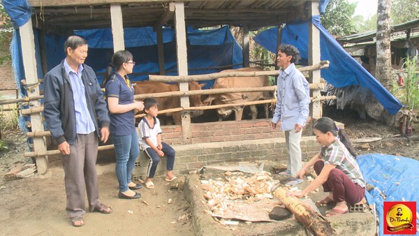 'Cặp bò vàng' của Trà thanh nhiệt Dr Thanh giúp các hộ khó thoát nghèo - ảnh 3