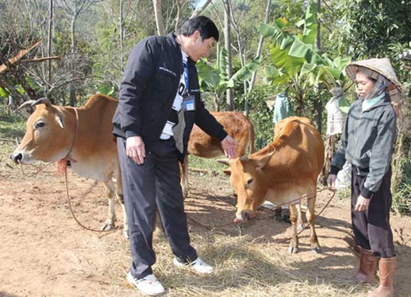 Sức Xuân trên thảo nguyên xanh - ảnh 3