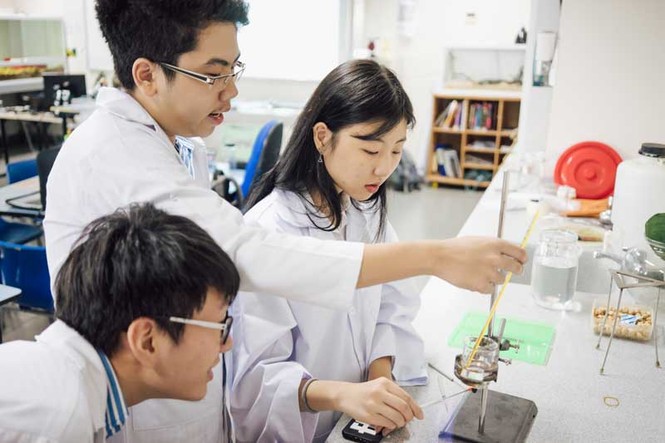 Tầm quan trọng của Nghệ Thuật trong thời đại kỹ thuật số - ảnh 3