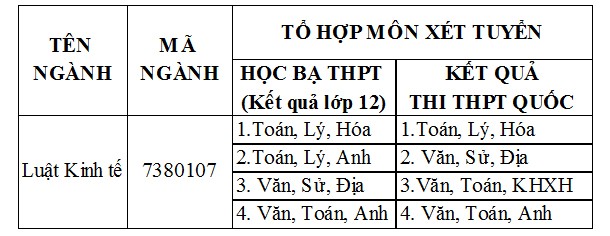 Học Luật Kinh tế ở ĐH Duy Tân không lo thiếu việc làm? - ảnh 1