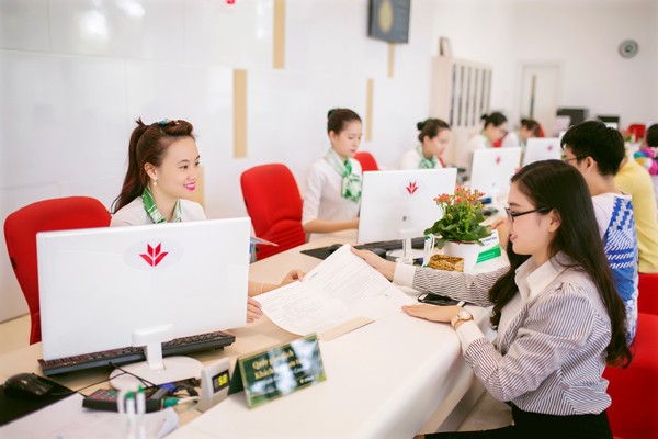 Tín dụng tiêu dùng: Từ sắc 'đen' đến 'trắng' - ảnh 3