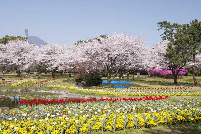Kinh nghiệm du lịch Kyushu hữu ích cho mọi người - ảnh 1