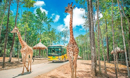 Tận hưởng quyền năng mùa hè tại Vinpearl Land - ảnh 4
