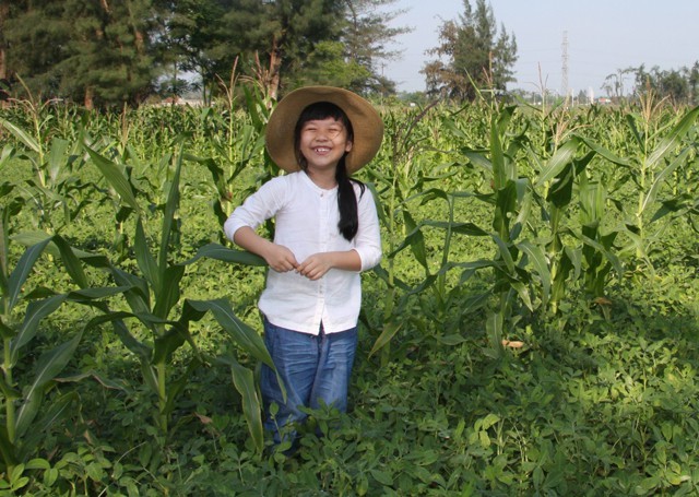 Hài hước bài văn điểm 10 'Bố em thua xa bố nhà người ta' - ảnh 1