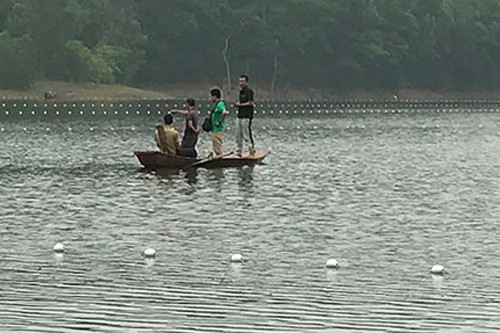 Giới bảo tồn hy vọng ghép đôi hai rùa Hoàn Kiếm hoang dã - ảnh 1