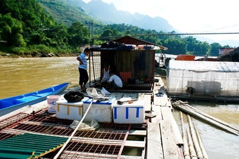 Huyền bí chuyện những “chúa tể lòng sông” lớn lên trong lồng sắt - ảnh 2