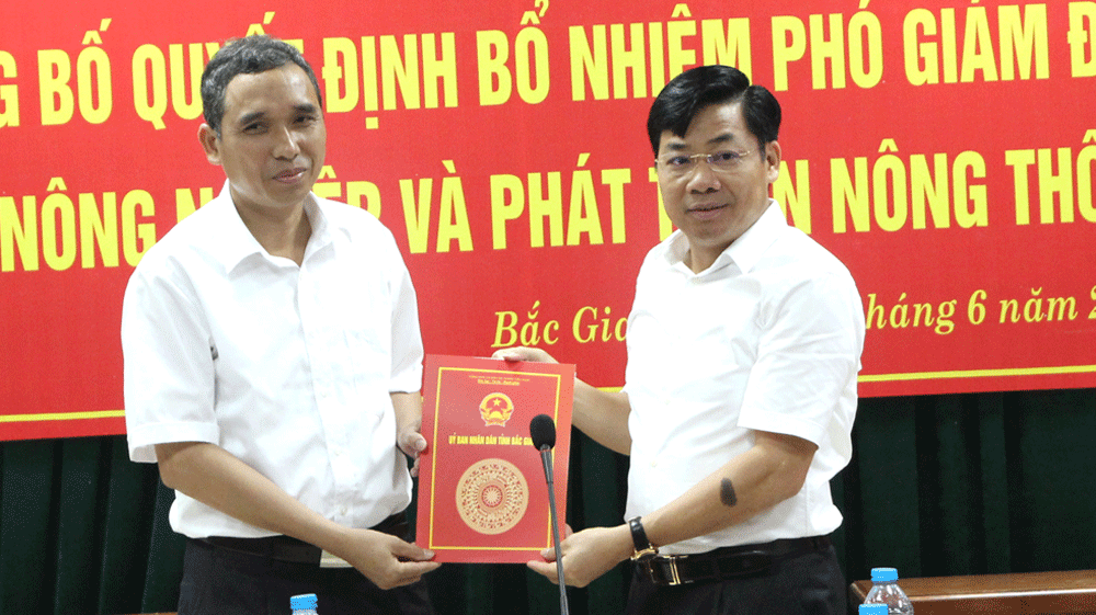 Kiện toàn nhân sự chủ chốt 5 tỉnh - ảnh 2