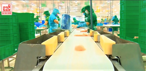 I.D.I & lý tưởng phát triển bền vững - ảnh 2