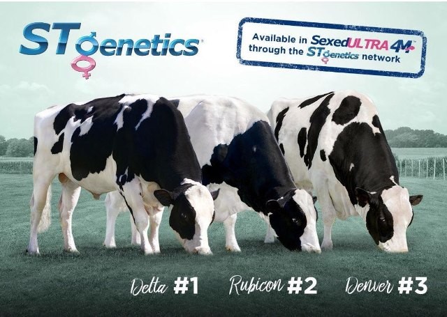 TH true MILK sản xuất A2 – sản phẩm chấn động thị trường sữa quốc tế - ảnh 2