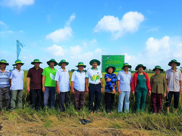 NPK Phú Mỹ tăng hiệu quả kinh tế trên lúa Thu Đông tại An Giang - ảnh 1