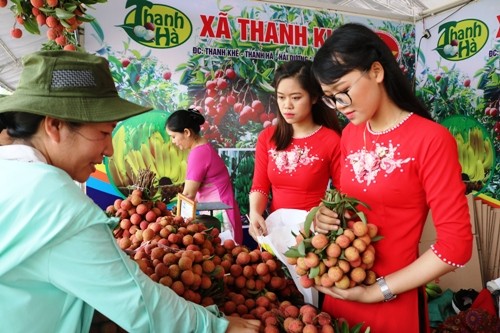 Xây dựng thương hiệu Việt Nam, kết nối tiêu thụ đặc sản vùng miền - ảnh 1