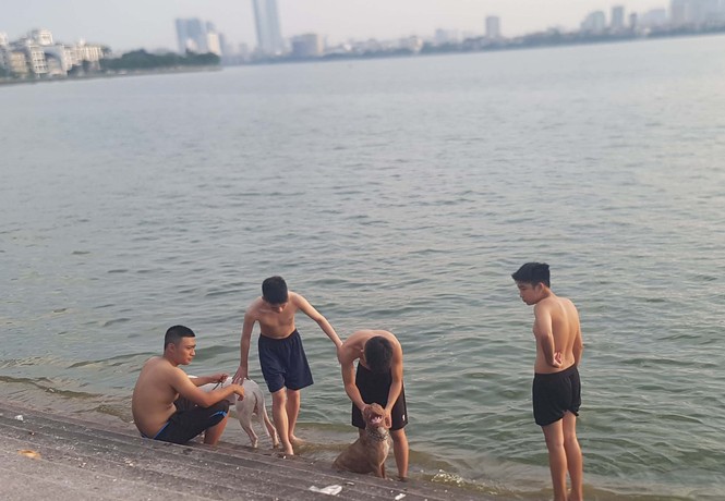 Người dân đổ ra Hồ Tây tắm, mặc cá chết bốc mùi tanh nồng - ảnh 8
