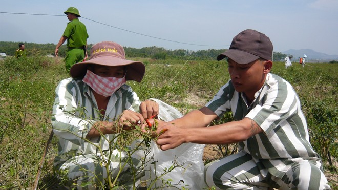 Ăn Tết ở... tù - ảnh 1