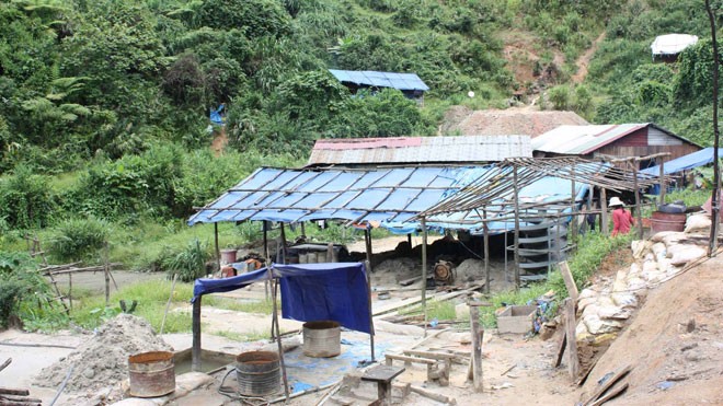 Hàng chục phu vàng trốn thoát khỏi rừng sâu - ảnh 1