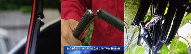Truyền hình “lậu” và những chiêu phá cáp - ảnh 1
